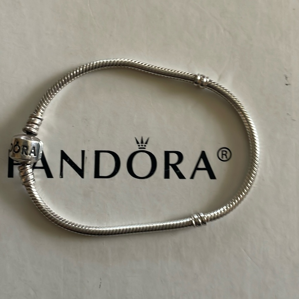 Pandora moments bracelet